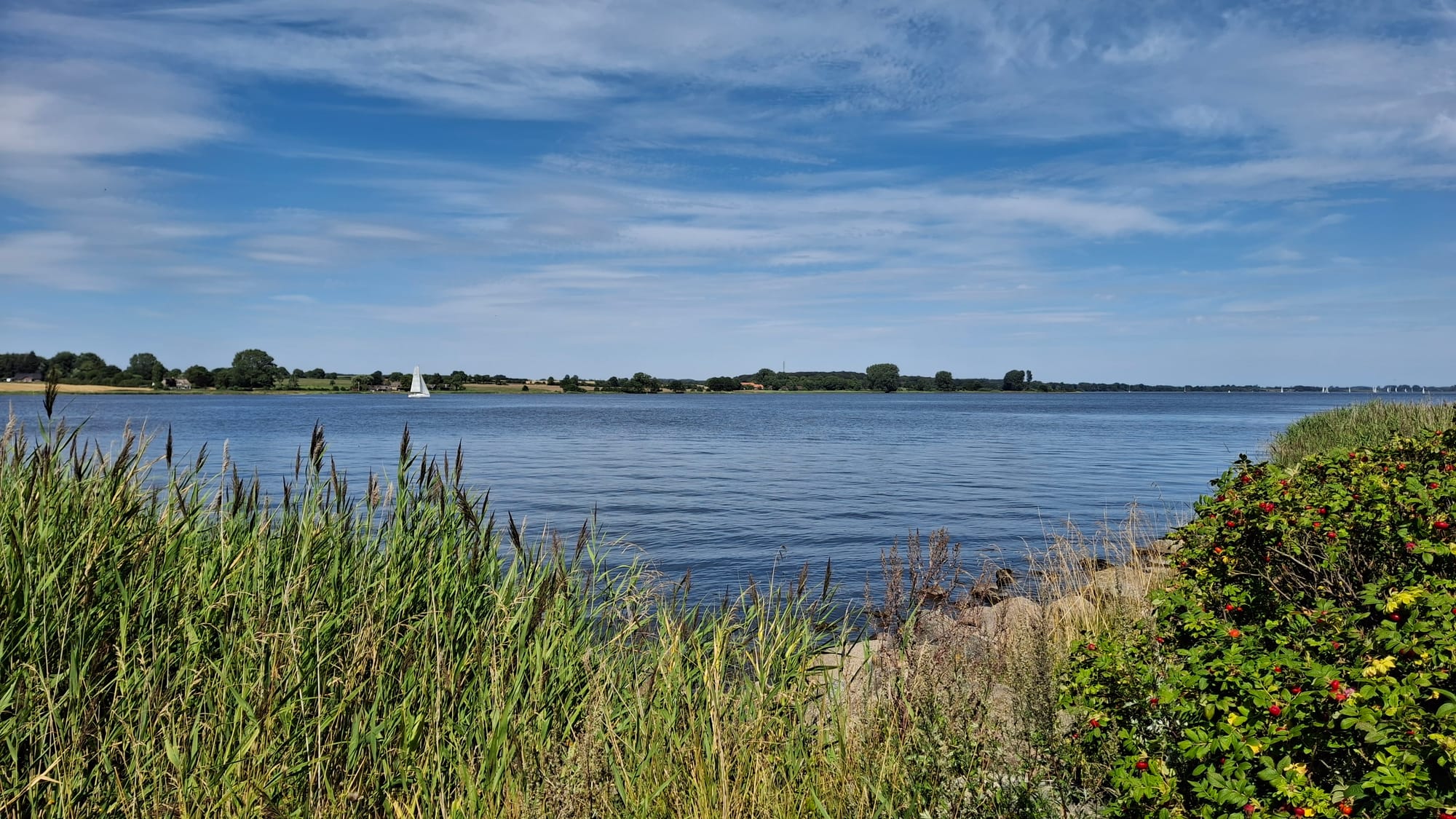 Sieseby