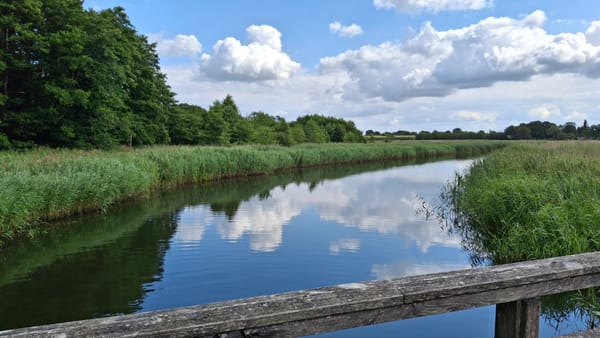 The Schlei fjord